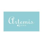 アルテミス by ダイアナ(artemis by DIANA)の通販 - MAGASEE