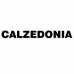 Home Page - Calzedonia - カルツェドニア